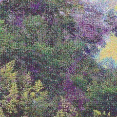 saying the same thing 14 times over - IX (after Yuan Hongdao)