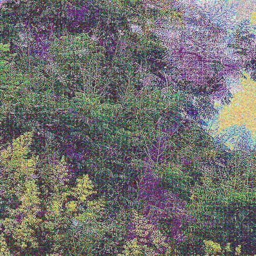 saying the same thing 14 times over - IX (after Yuan Hongdao)