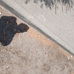 borrispol 2011 new edit