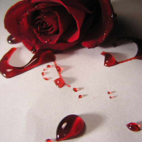 SCARS IN THE DARKNESS
