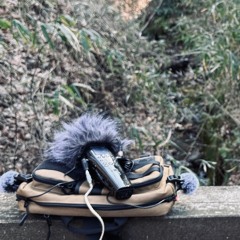 (SoJ 002) mountain_stream_bird_singing_wind