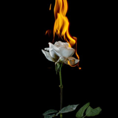 flames