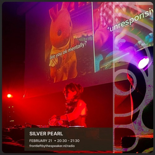 silver pearl | 2024-02-21 | Front Left by the Speaker Radio