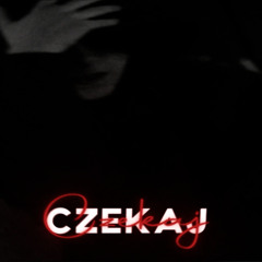 richboyit - CZEKAJ FREESTYLE