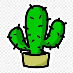 #6 Cactus.flac