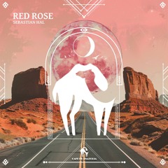 Red Rose [Cafe De Anatolia]