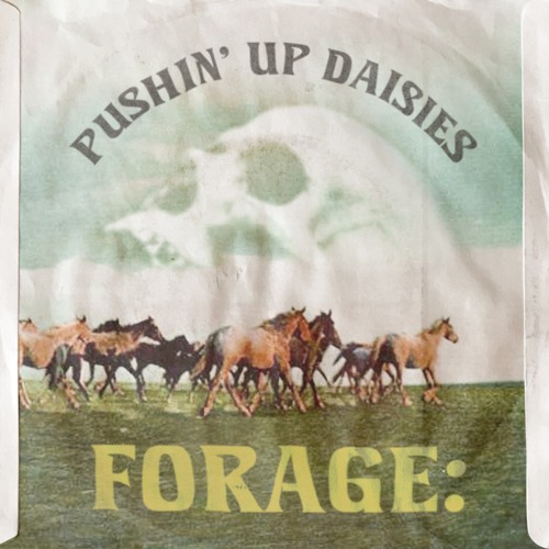 Forage: Pushin' Up Daisies (Rare Psych / Folk / Soul Continuous Vinyl Mix)