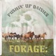 on Forage: Pushin' Up Daisies (Rare Psych / Folk / Soul Continuous Vinyl Mix)