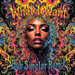 Bob Sinclar - What I Want (Otoko Remix)