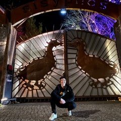 SILSAN | Sisyphos Hammahalle | Rave-ioli Oktober 2025