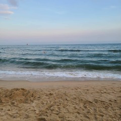 릴러말즈 (Leellamarz) - HAVE A GOOD TRIP / cover HONY