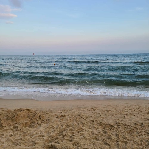 릴러말즈 (Leellamarz) - HAVE A GOOD TRIP / cover HONY