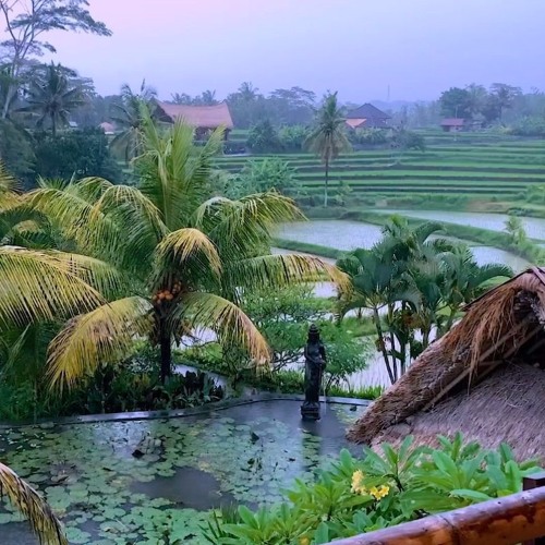 Tropical Rainstorm & Heavy Thunder Sounds In Bali