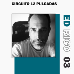 Circuito 12 pulgadas 003- Ed Rico.