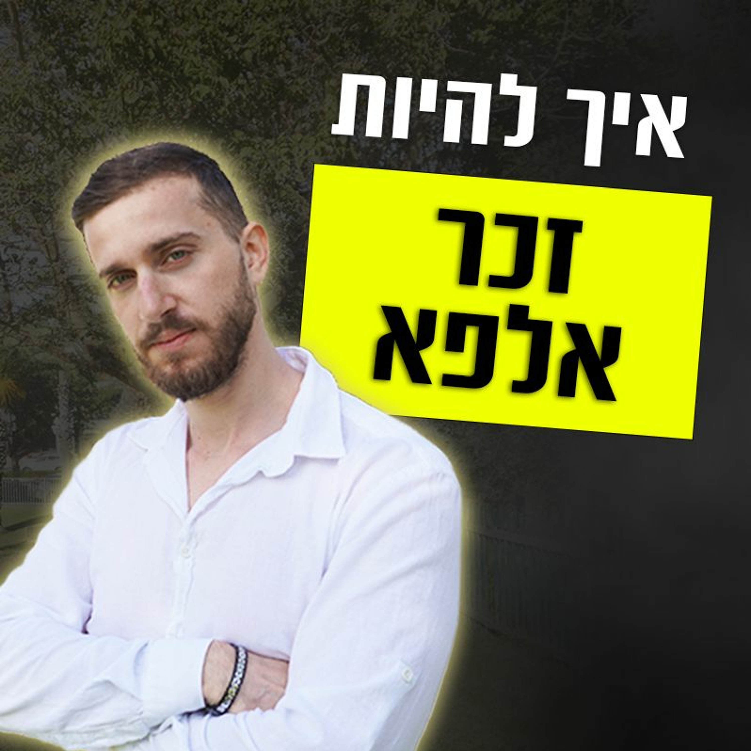 איך להיות זכר אלפא episode artwork