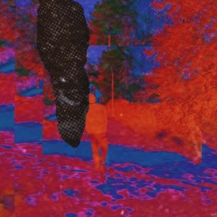 Black Adder (Bonustrack)