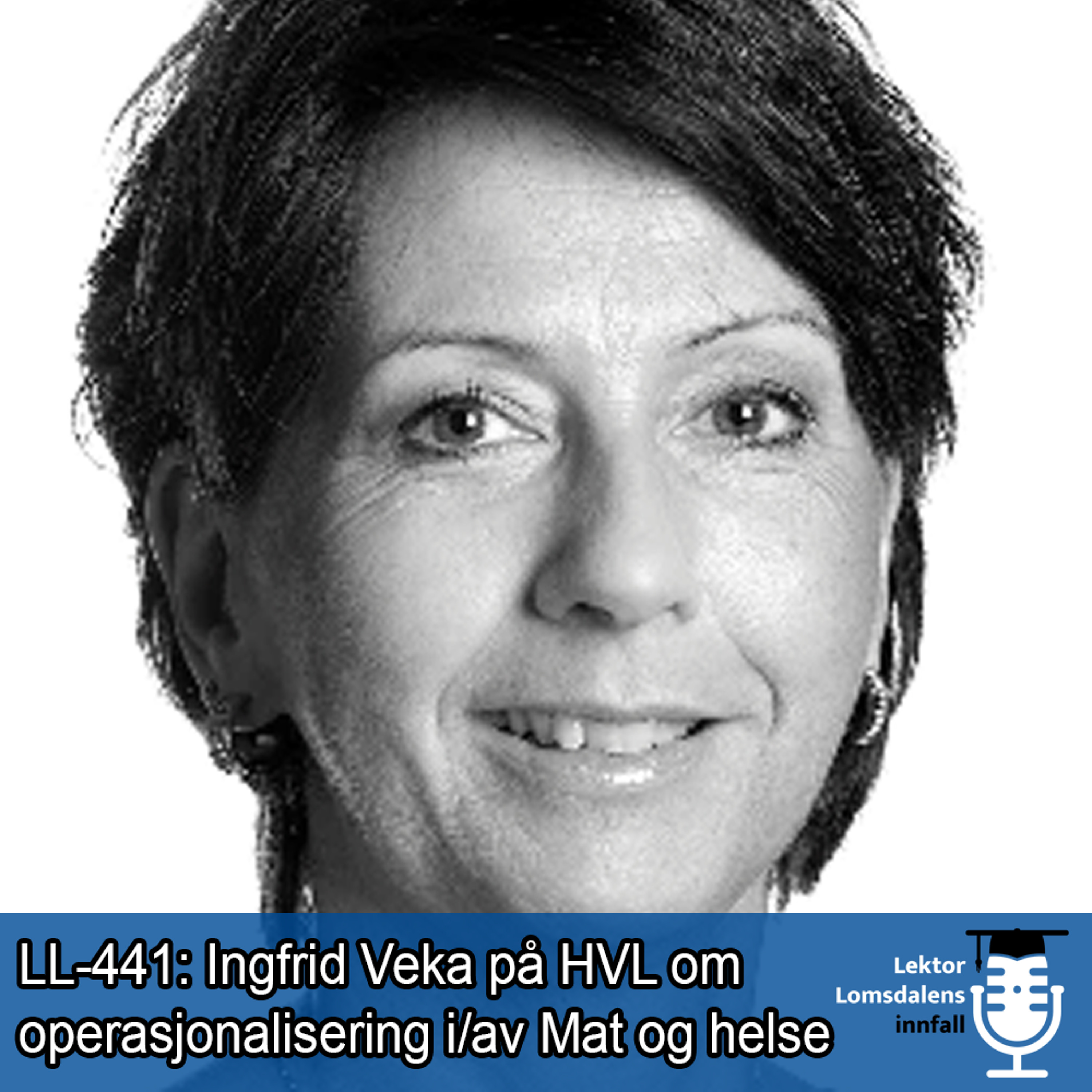 Lektor Lomsdalens innfall