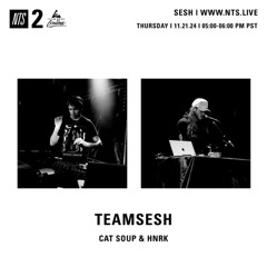 TeamSesh NTS 21st November 2024: cat soup & hnrk