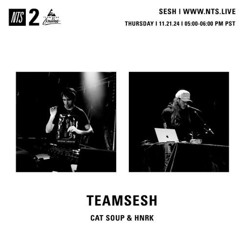 TeamSesh NTS 21st November 2024: cat soup & hnrk