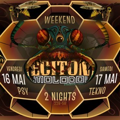 PSY | ECITON X MOLODOI 2025