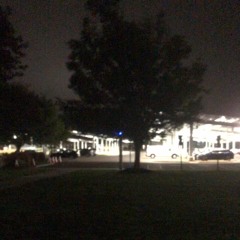stroll 🌙