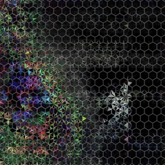 KING PHEASANT - THE REV - SLOWED66.6%