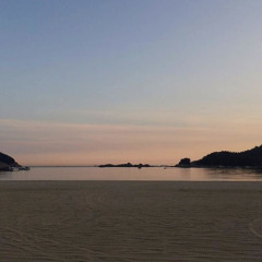 Sự Thật Đã Bỏ Quên (Lofi Ver.) - Hà Duy Thái X Quý (320 Kbps)