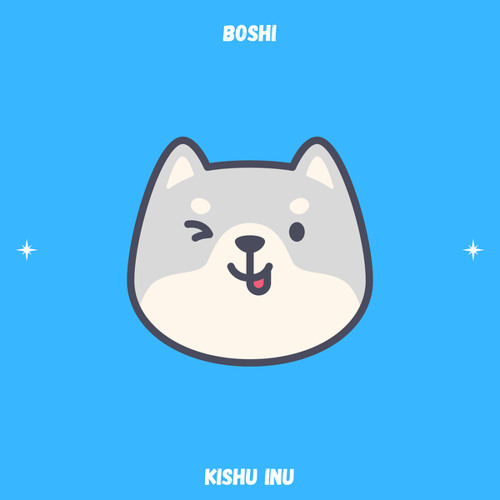 kishu inu