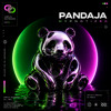 Pandaja - Hypnotized [OUT NOW]