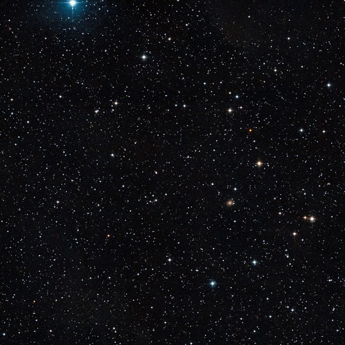 i don't know what to name this. theres a lot of devi mccallion