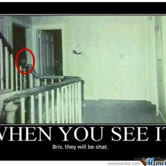 When You See It (You'll Shit Bricks)