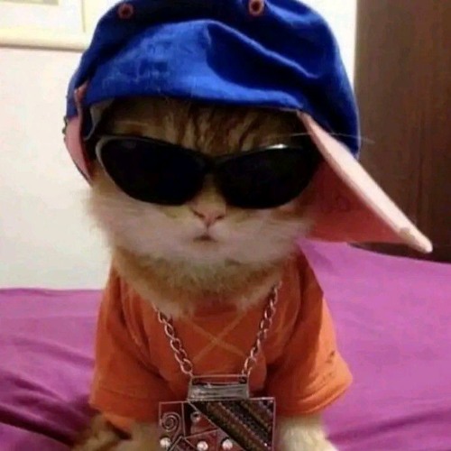 #`'VEM SENTANDO REBOLANDO VS BEAT THE KING OF FIGHTERS TIKTOK  [DN 22 👾]