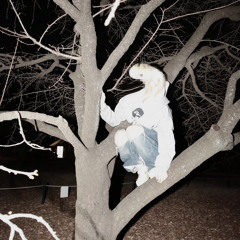 0223 / Usk° - Tape1