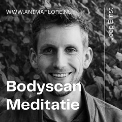 Bodyscan Meditatie 17 minuten