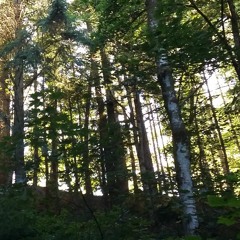 You Gotta Start Somewhere ALL