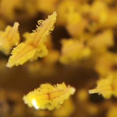 Jam_Solo_20210326