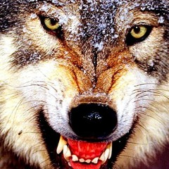 Diamond Heart, Black Heart