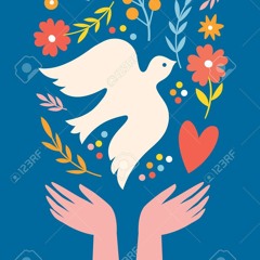 A white dove flying touches.mp3
