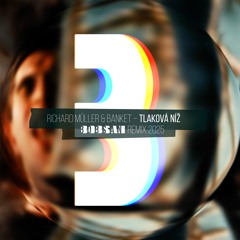 Richard Muller - Tlakova Niz (Bobsan 2025 remix)