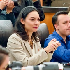 Reforma energética de Sheinbaum controla y habrá opacidad: Sen. Mely Romero