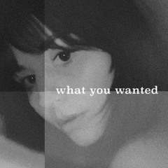 What You Wanted