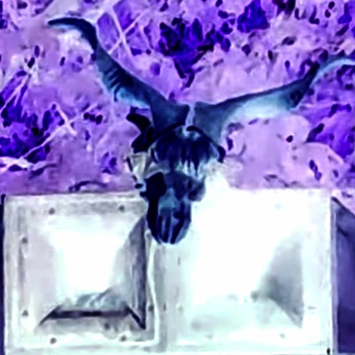 EVKARPIA MK II LIVE SET