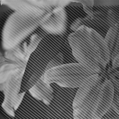 DALOG b2b Kaloustian @Magnetic Moon Anhalt, Berlin 05.05.2023