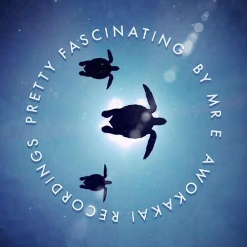 MR E - Pretty Fascinating (Ambient Turtles mix)