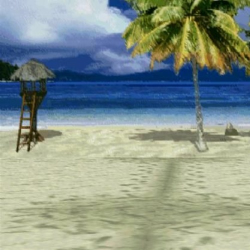 deez fakaz fighting at da beach !