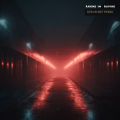 Raving I`m Raving (Seb Monet Remix)