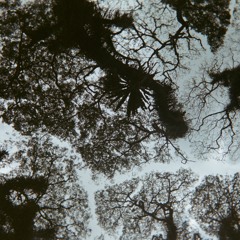 mr. blue - catherine feeny (cover)