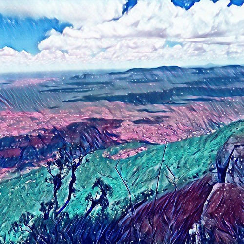 A Fairy Tale Of The Jungle