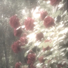 Ты любила розы (prod. livingpuff)