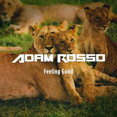 Feeling Good